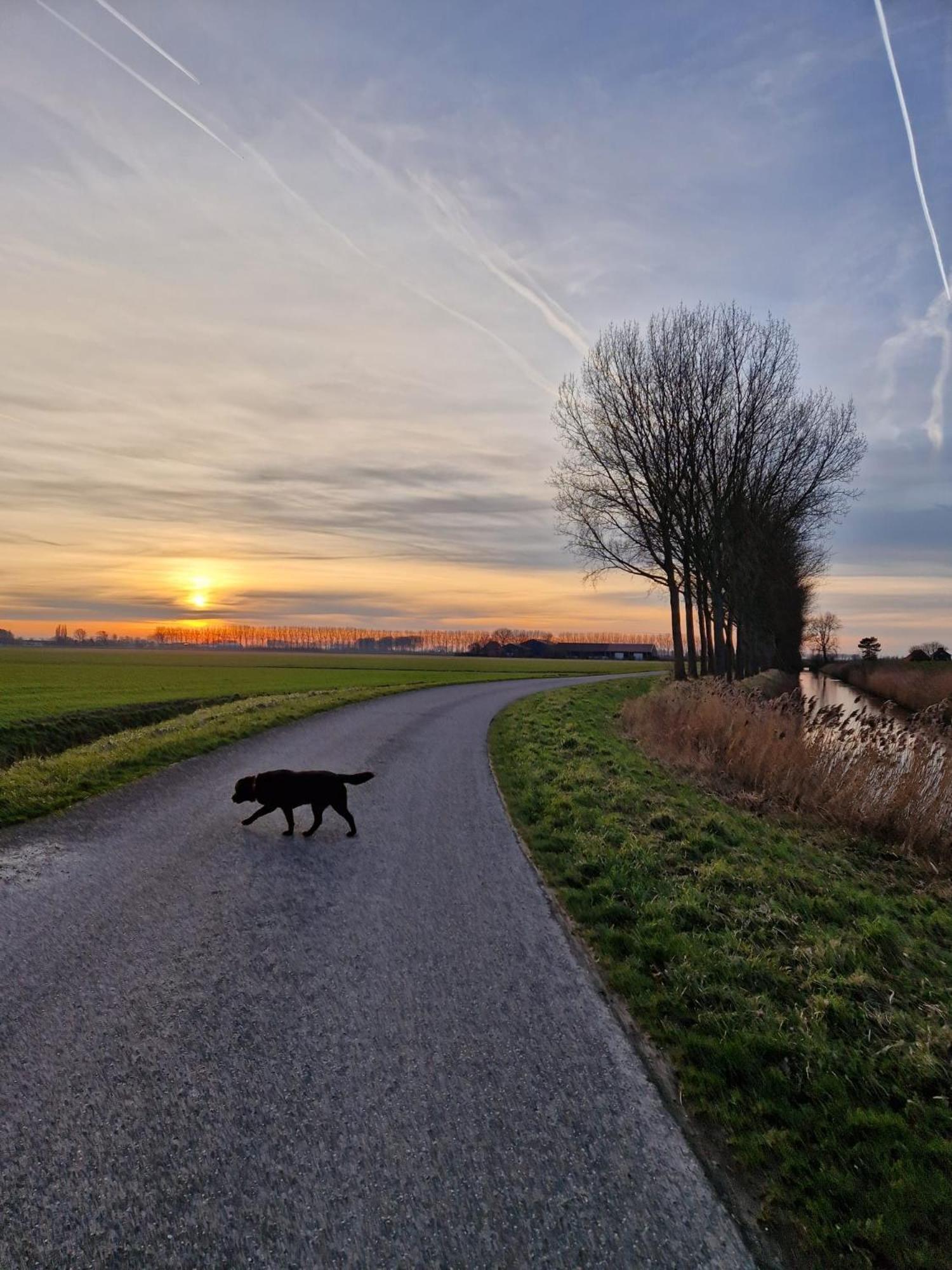 De Bedstee Villa Schoondijke Luaran gambar